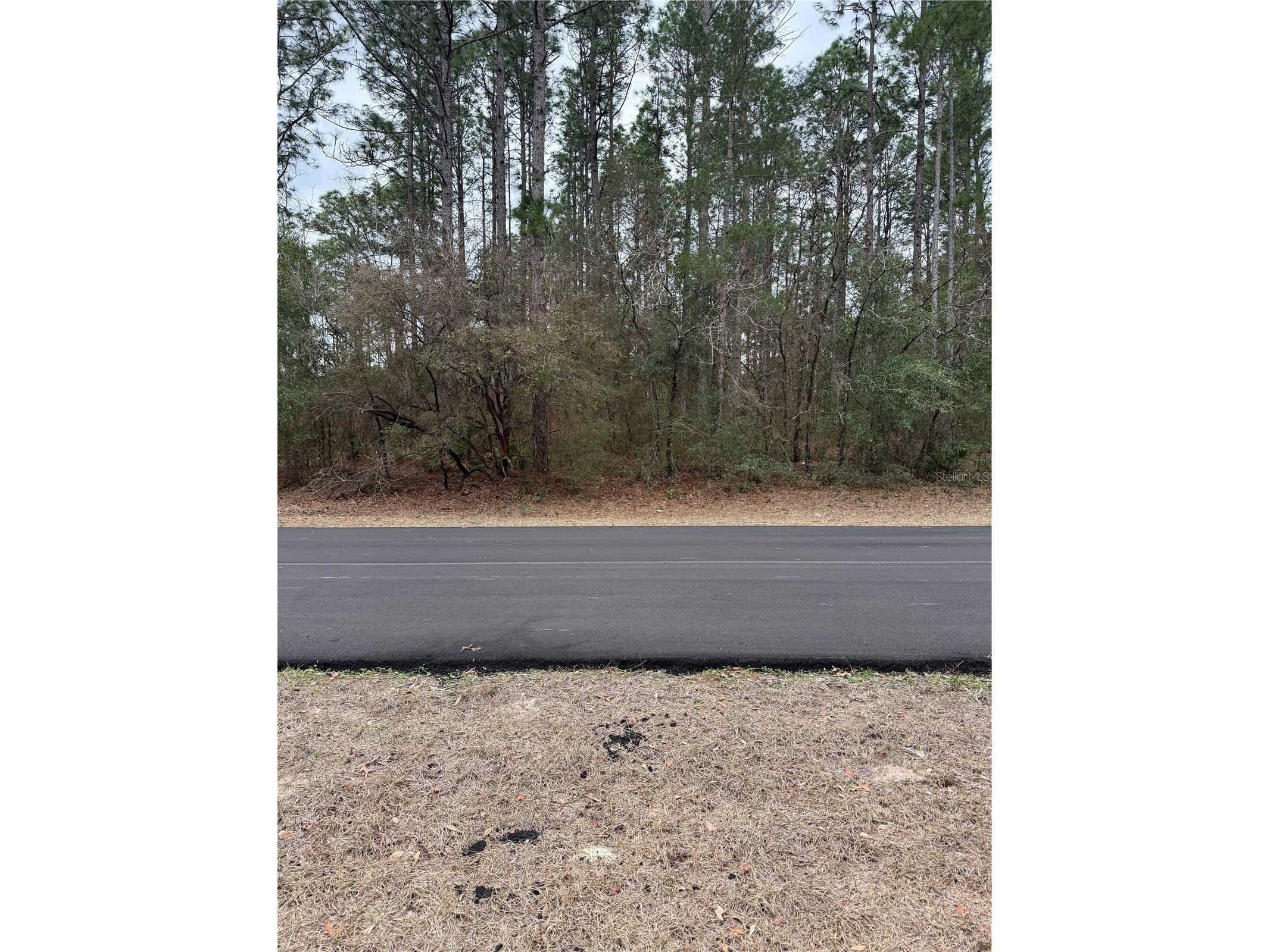 Sw 135th Loop Ocala FL 34473 OM718939 image2