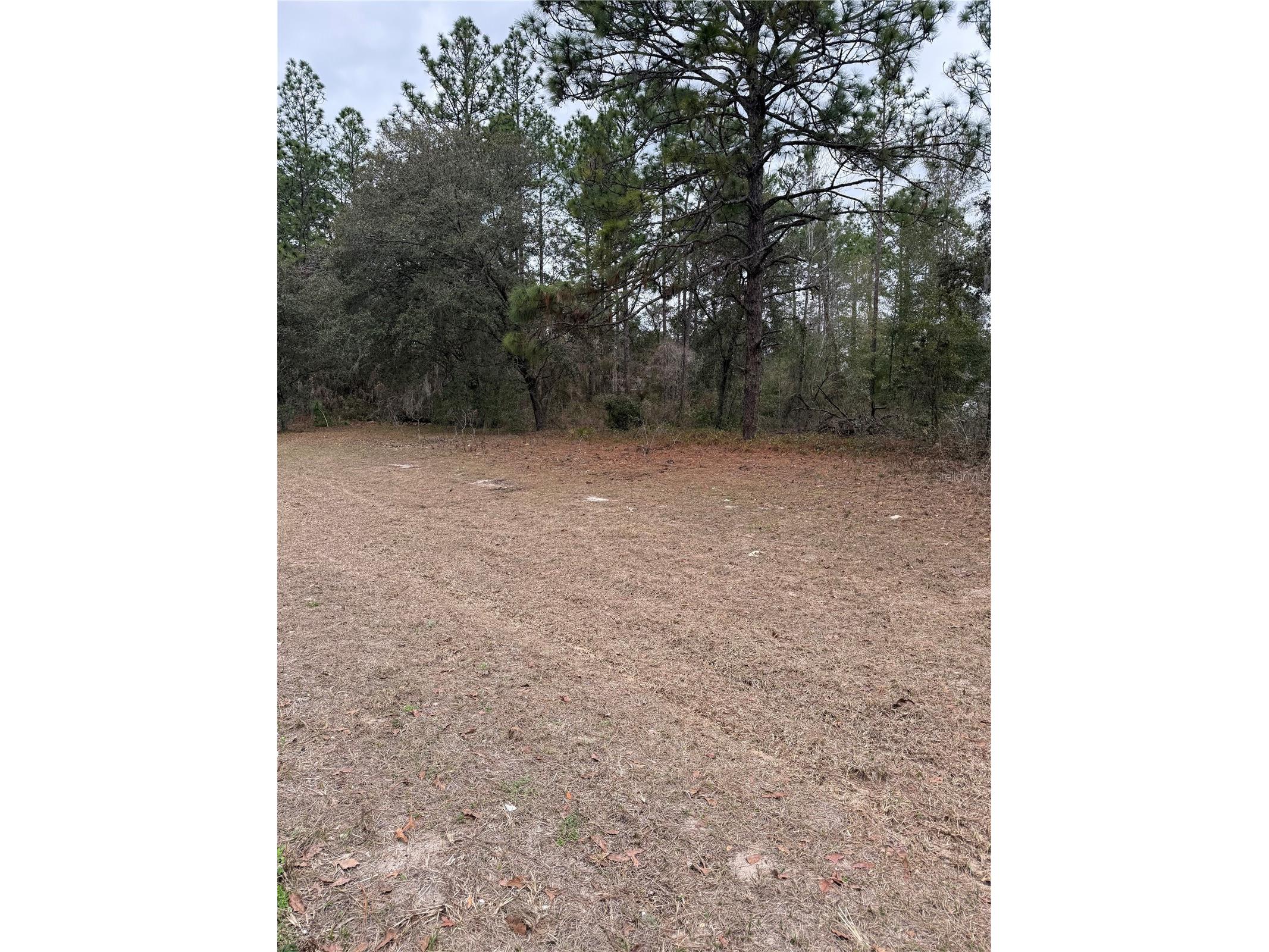 Sw 135th Loop Ocala FL 34473 OM718939 image3