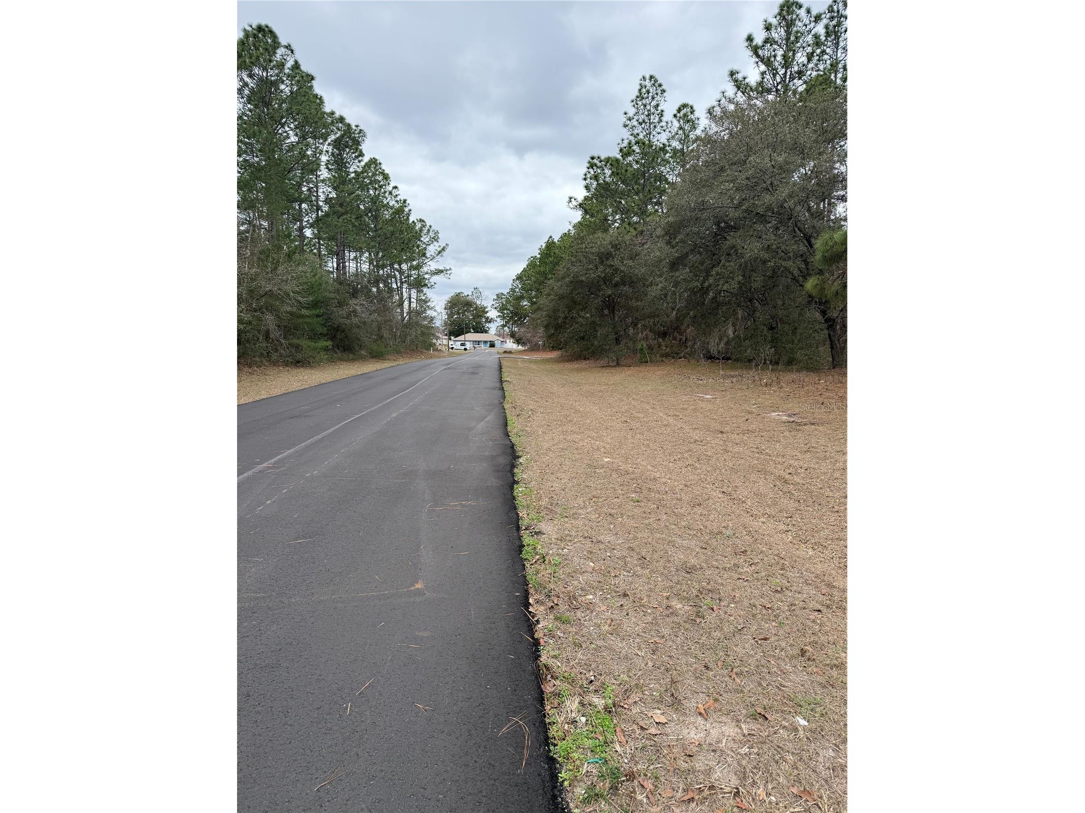 Sw 135th Loop Ocala FL 34473 OM718939 image4