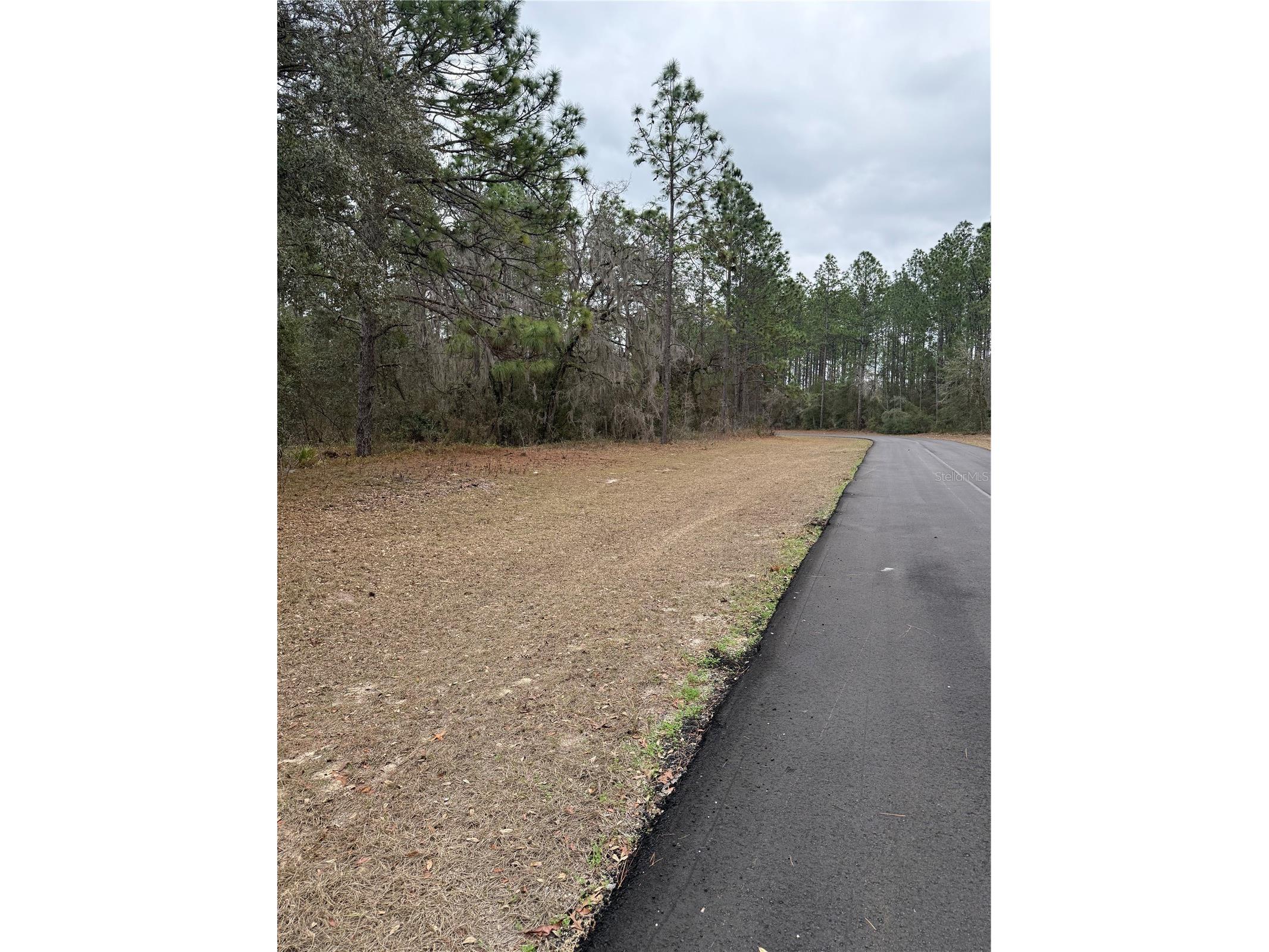Sw 135th Loop Ocala FL 34473 OM718939 image5