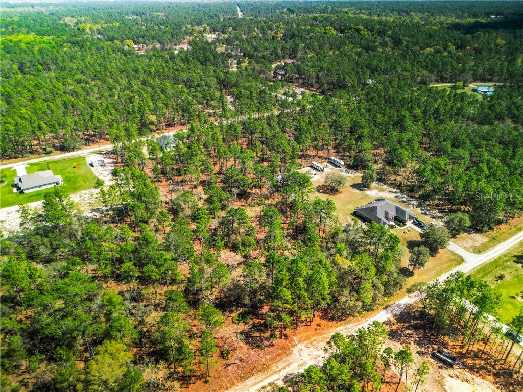 SW 135th Terr Rd Ocala FL 34481 OM673487 image1