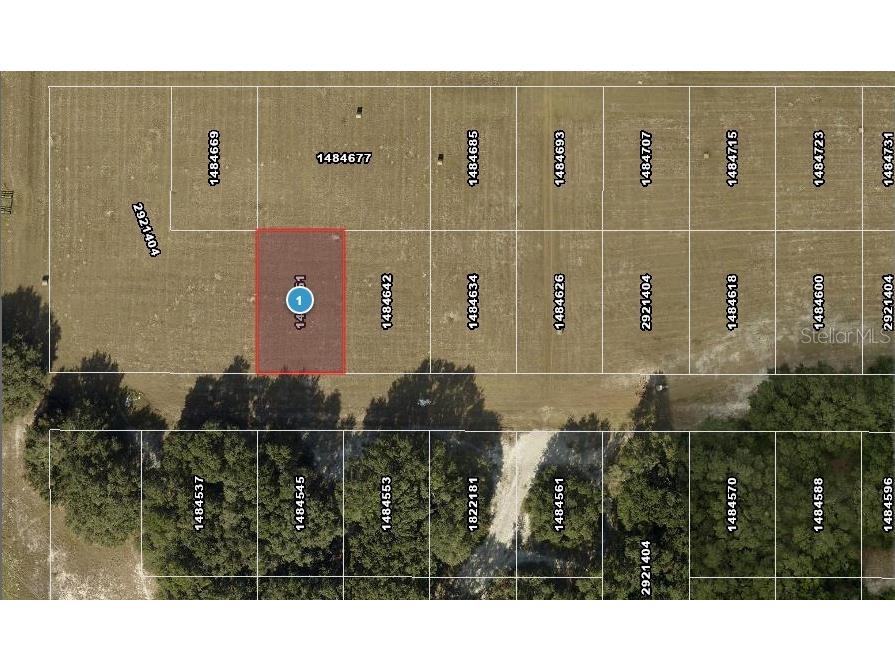 SW 136th Avenue Ocala FL 34481 C7520376 image1