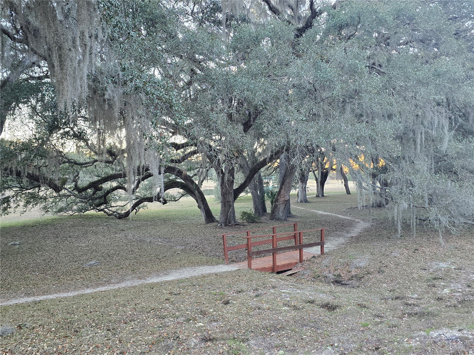 Sw 136th Ct. Rd Dunnellon FL 34432 OM716774 image10