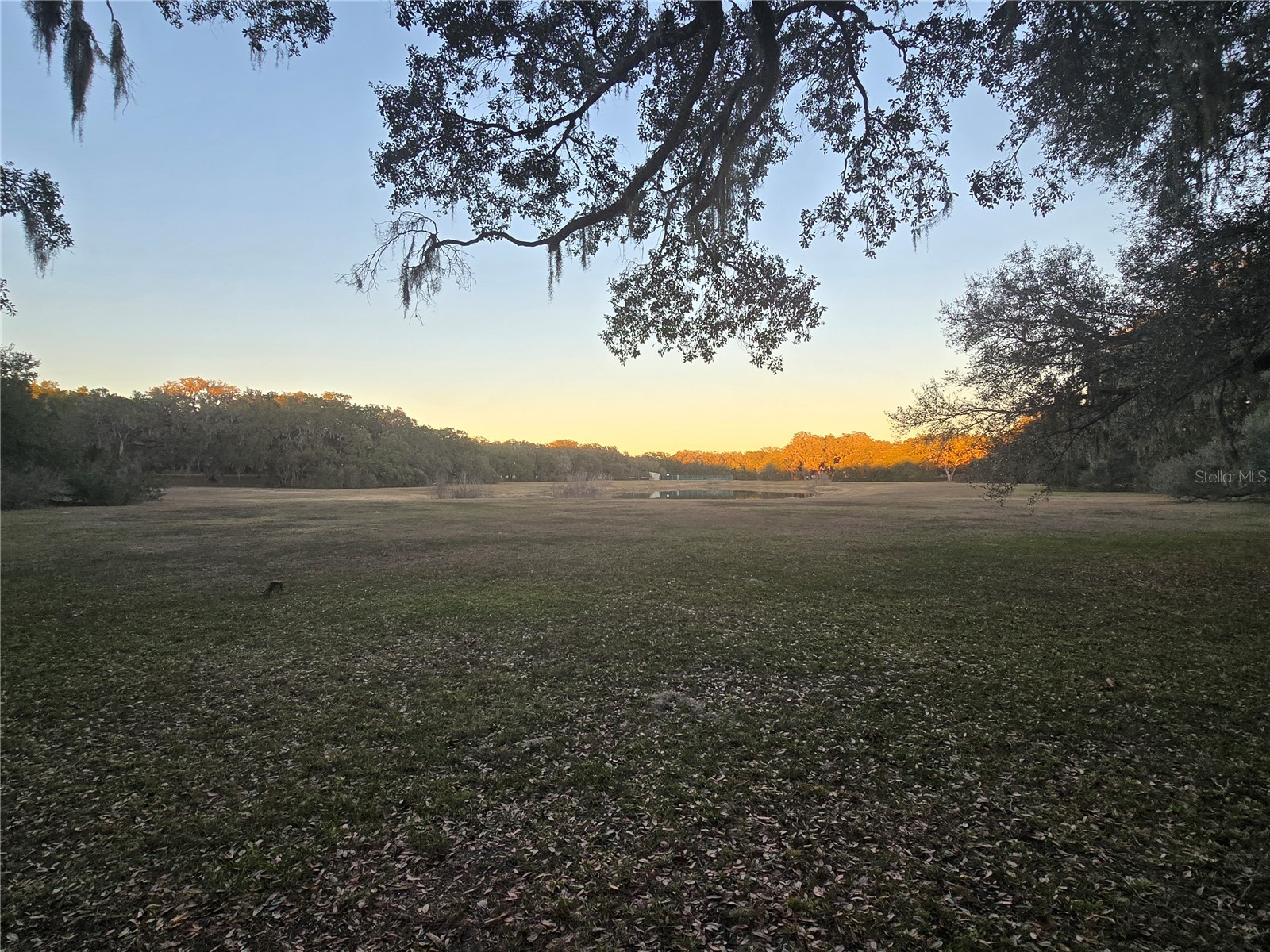 Sw 136th Ct. Rd Dunnellon FL 34432 OM716774 image11