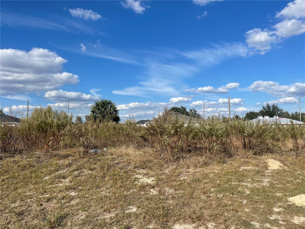 SW 136th Street Ocala FL 34473 S5094518 image1