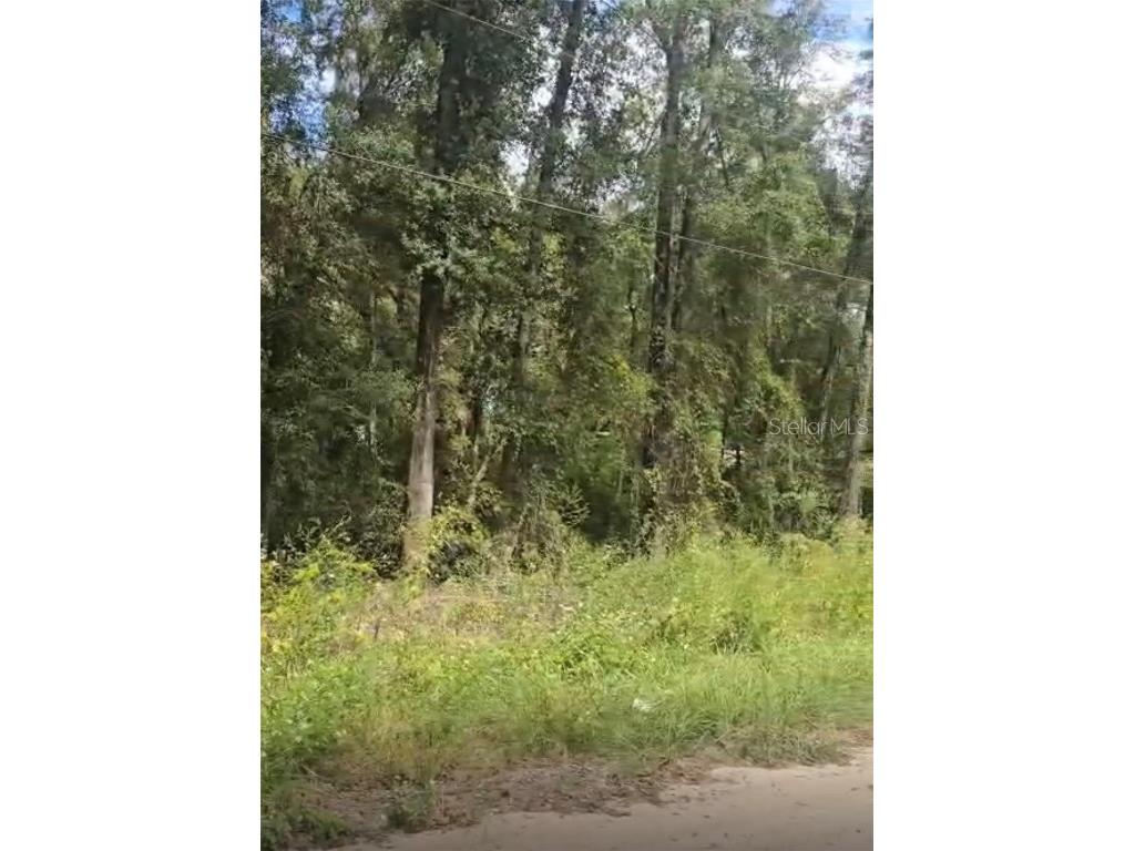 Sw 137 Ave Dunnellon FL 34432 O6351062 image1