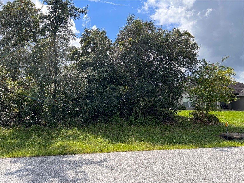 SW 137th Loop Ocala FL 34473 O6064232 image1