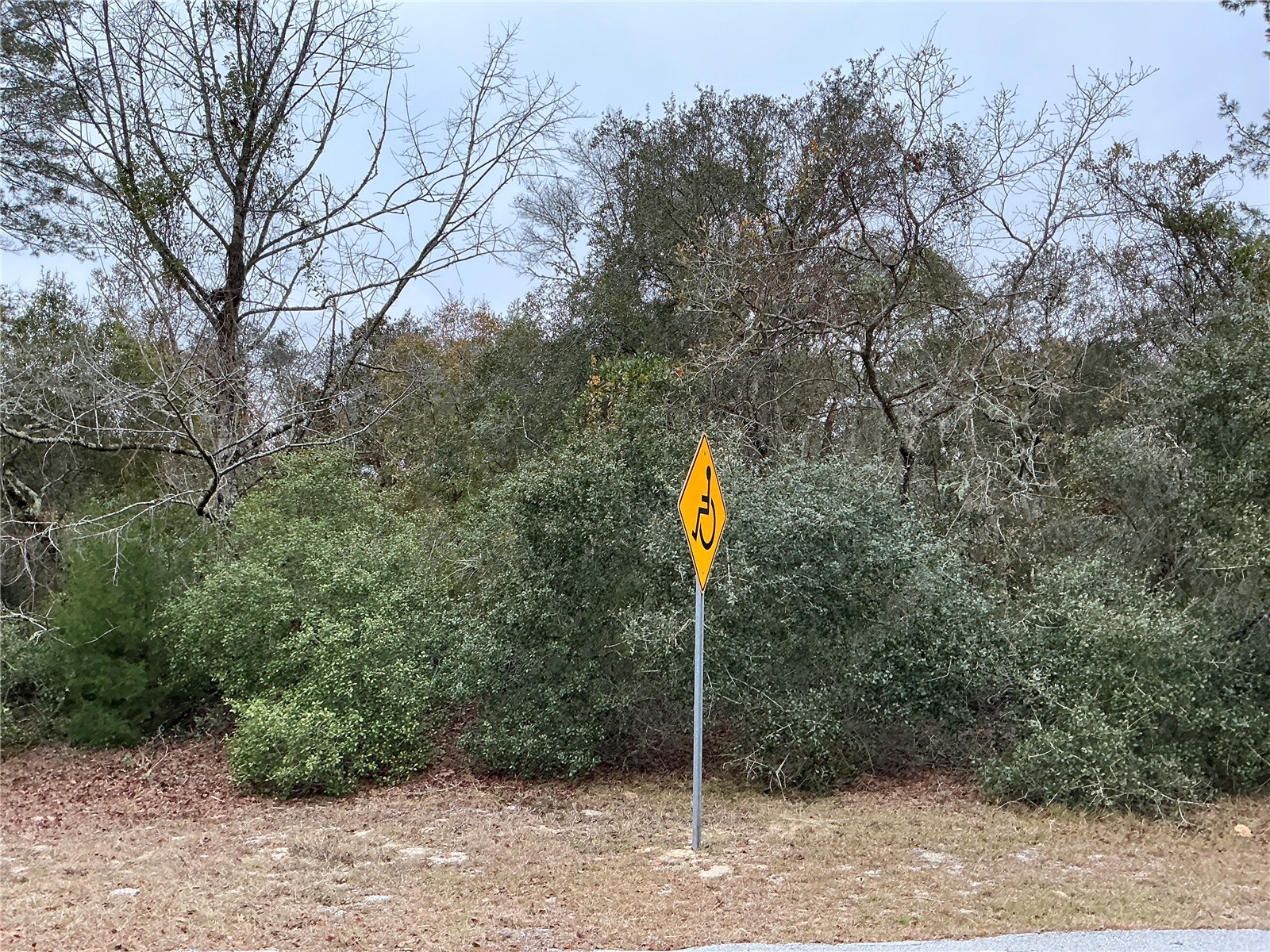 SW 137th Loop Ocala FL 34473 OM722017 image1