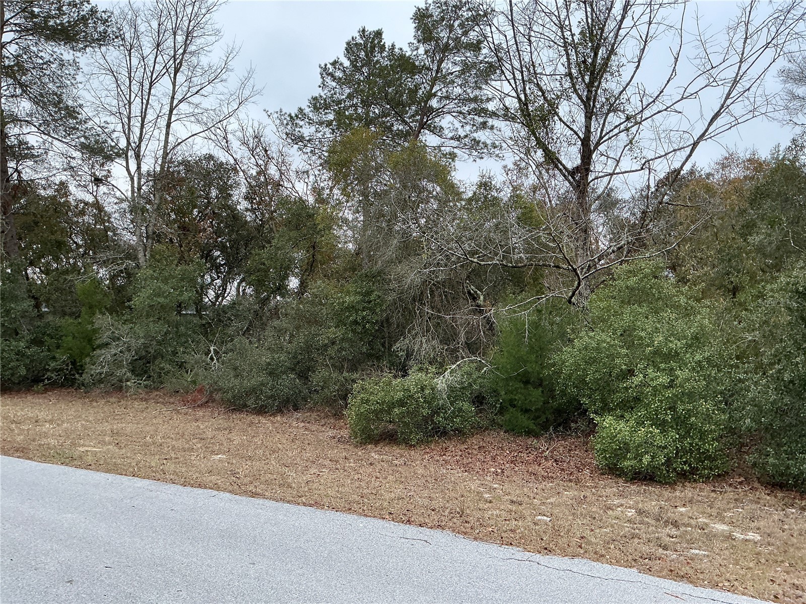 SW 137th Loop Ocala FL 34473 OM722017 image3