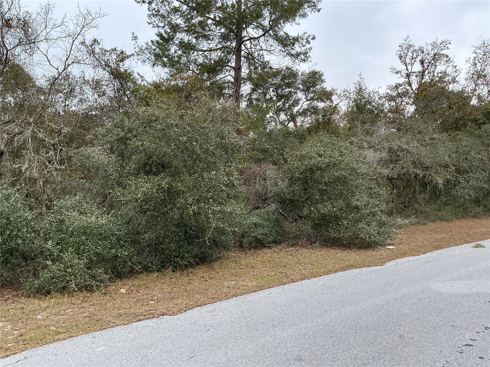 SW 137th Loop Ocala FL 34473 OM722017 image4