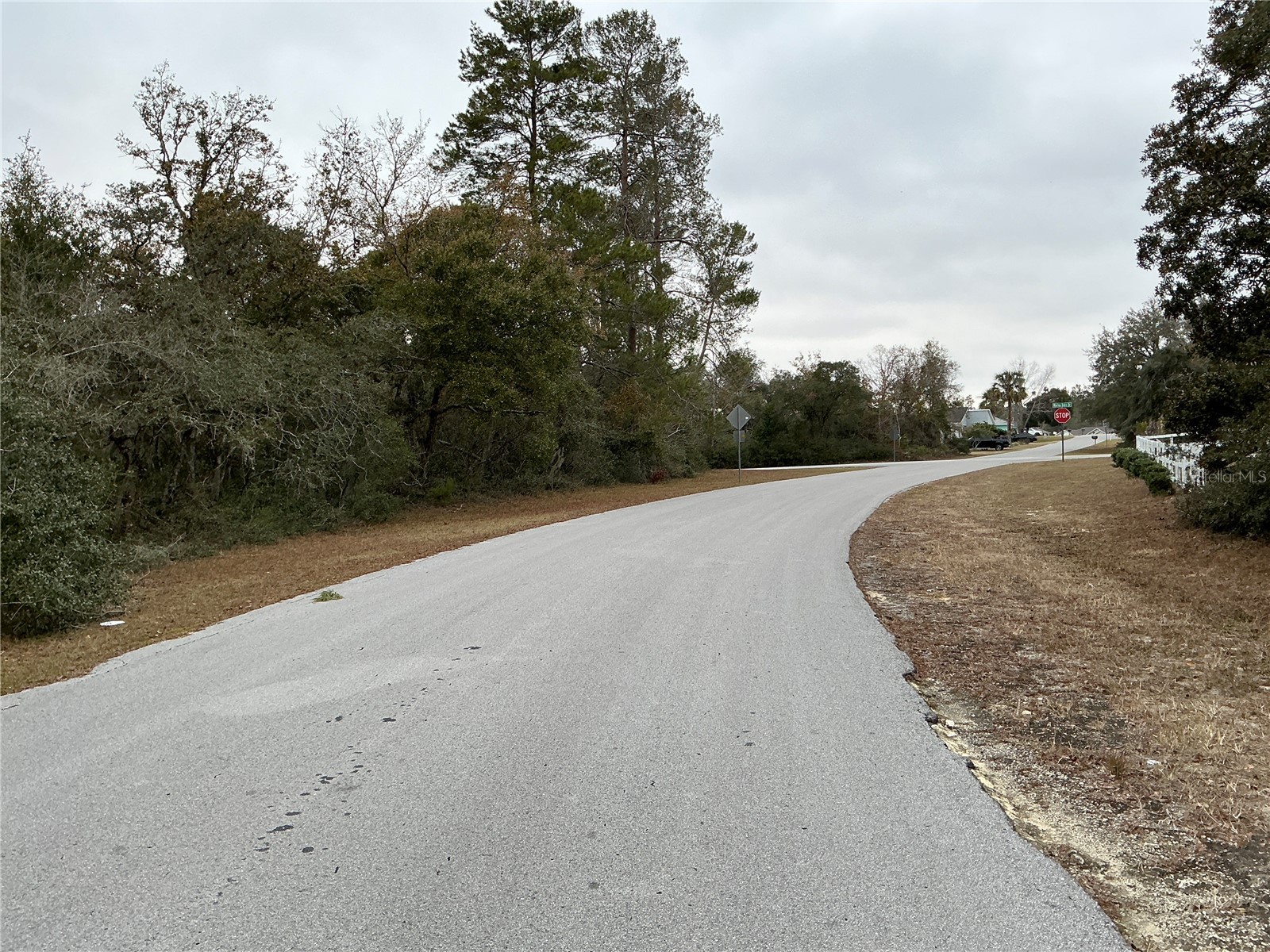 SW 137th Loop Ocala FL 34473 OM722017 image5