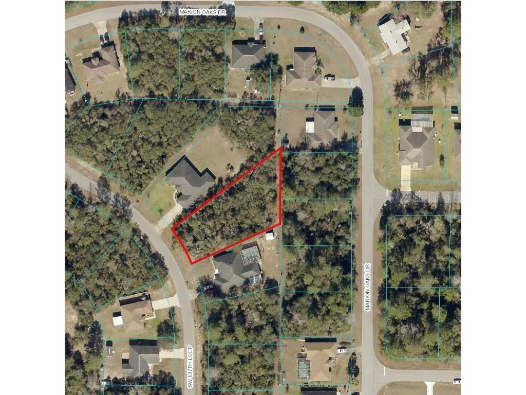 SW 137th Orchard Ocala FL 34473 OM643375 image1
