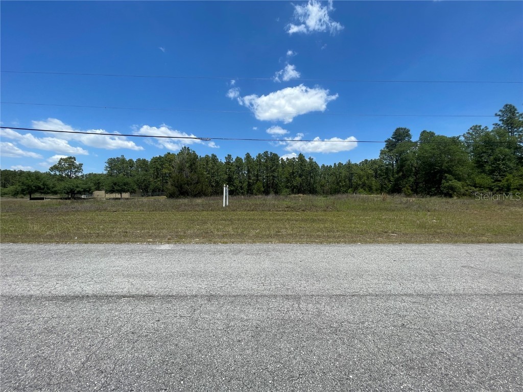 SW 137th Street Ocala FL 34473 OM700878 image1