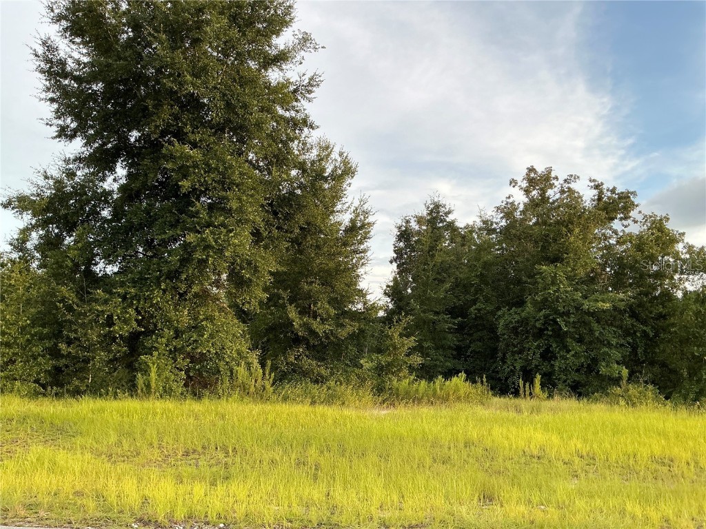 SW 138th Lane Ocala FL 34473 OM686304 image1