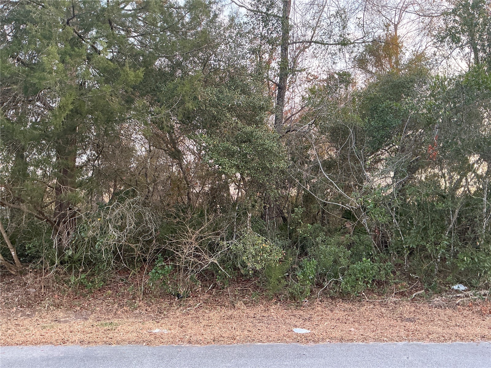 SW 138th Street Ocala FL 34473 OM720578 image1