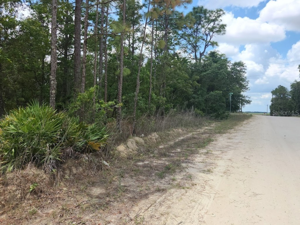 SW 138th Terrace #1 Dunnellon FL 34432 OM700584 image1