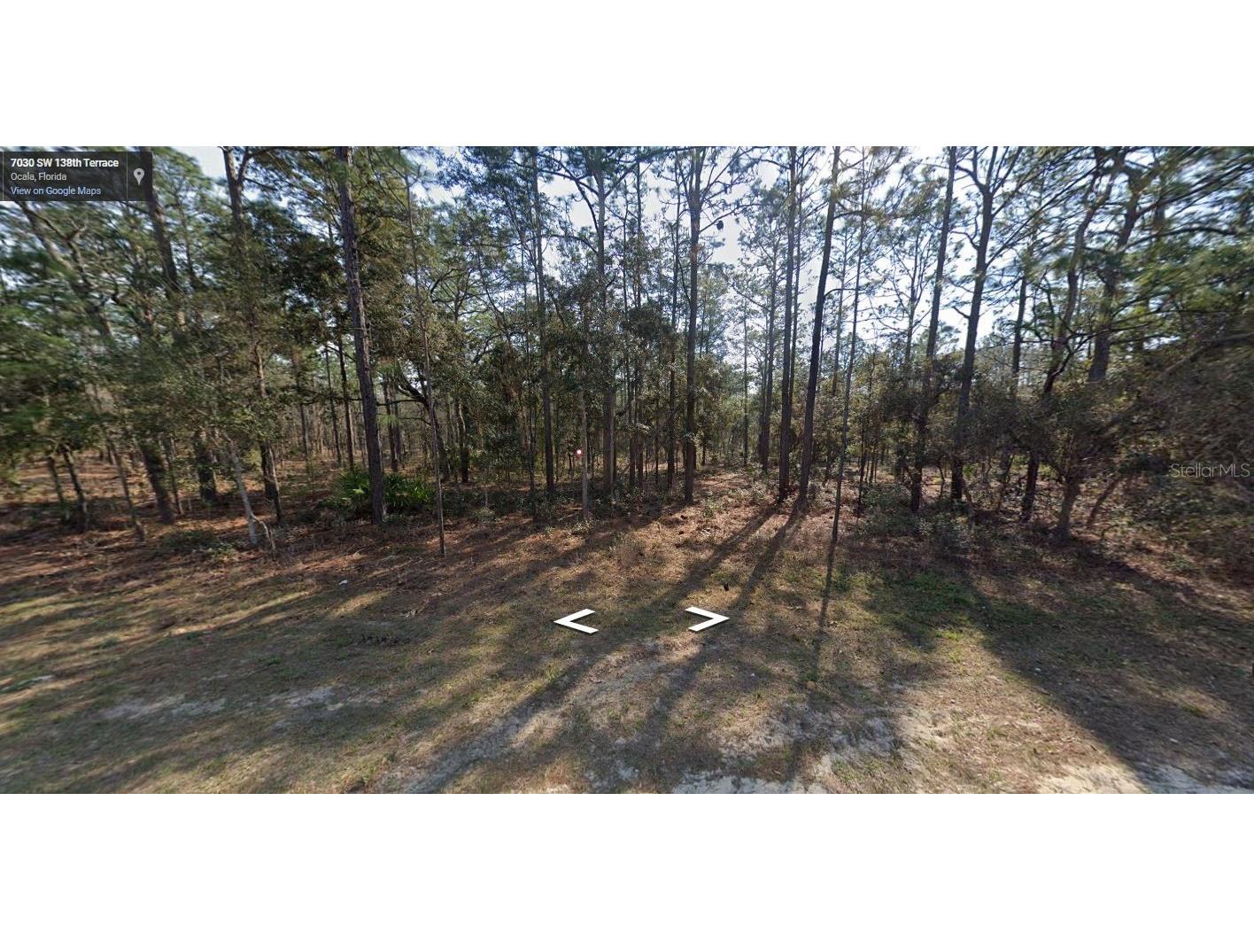 Sw 138th Terrace Ocala FL 34481 O6202670 image1