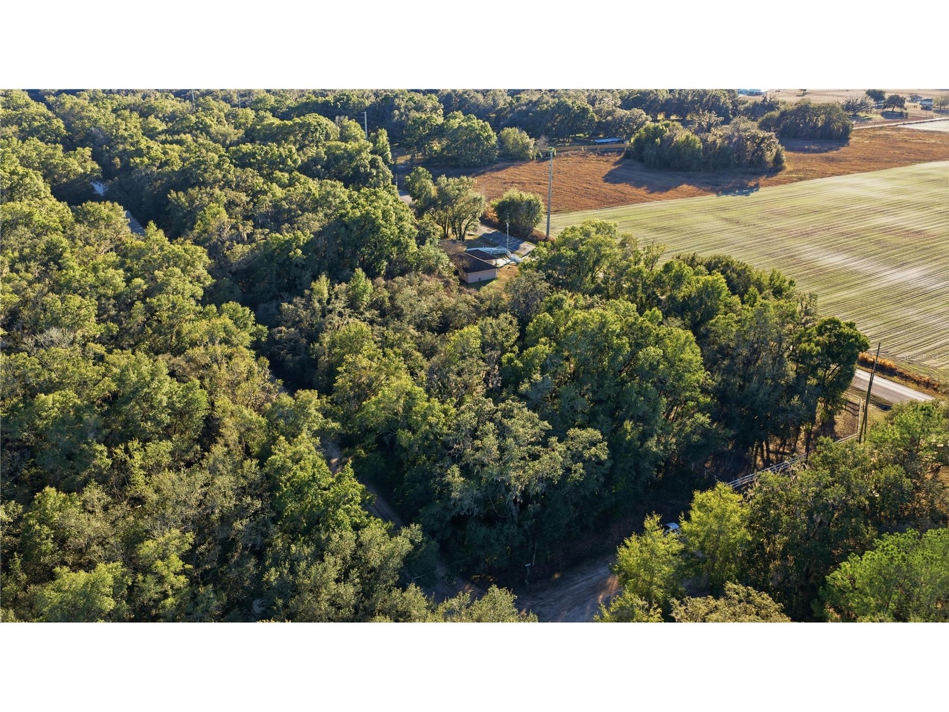 SW 139th Court Dunnellon FL 34432 OM717151 image1