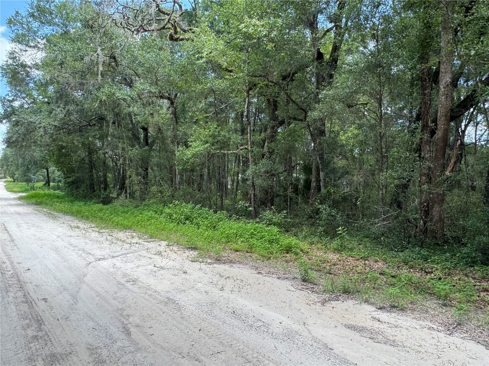 Sw 139th Ct Dunnellon FL 34432 OM728581 image1