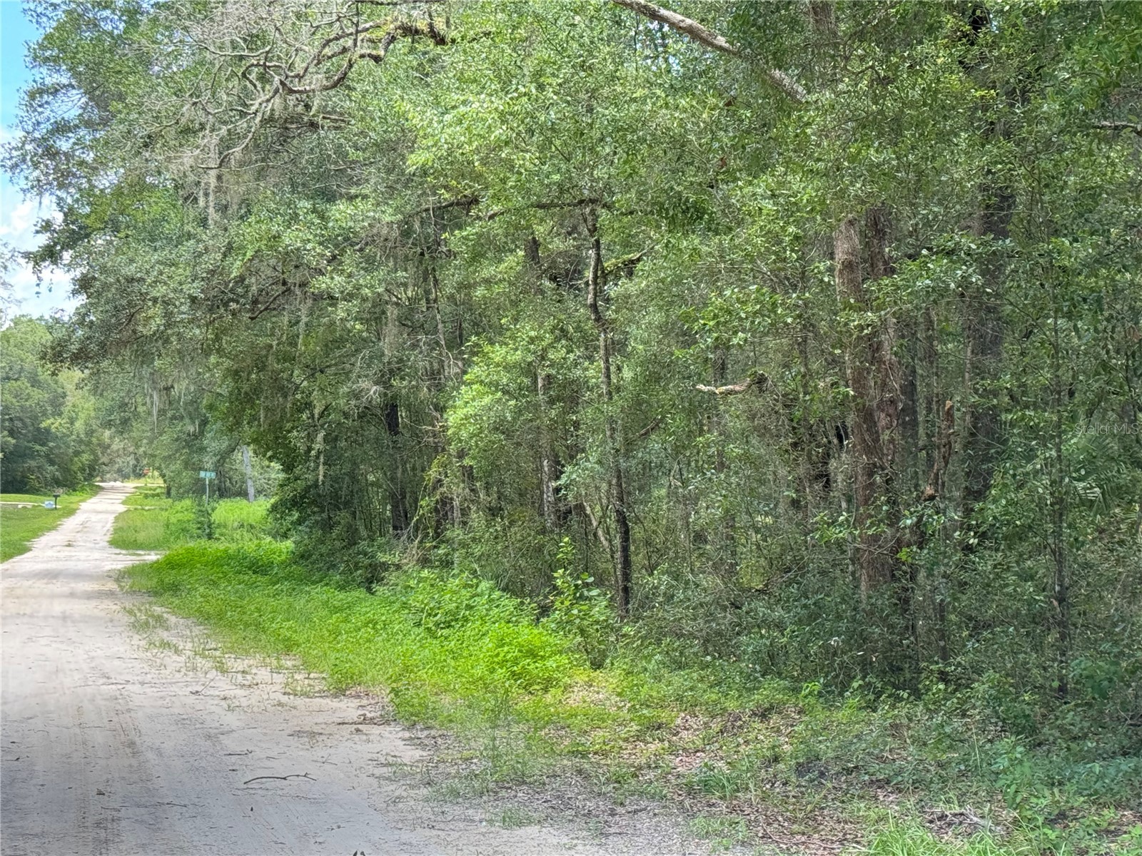 Sw 139th Ct Dunnellon FL 34432 OM728581 image2