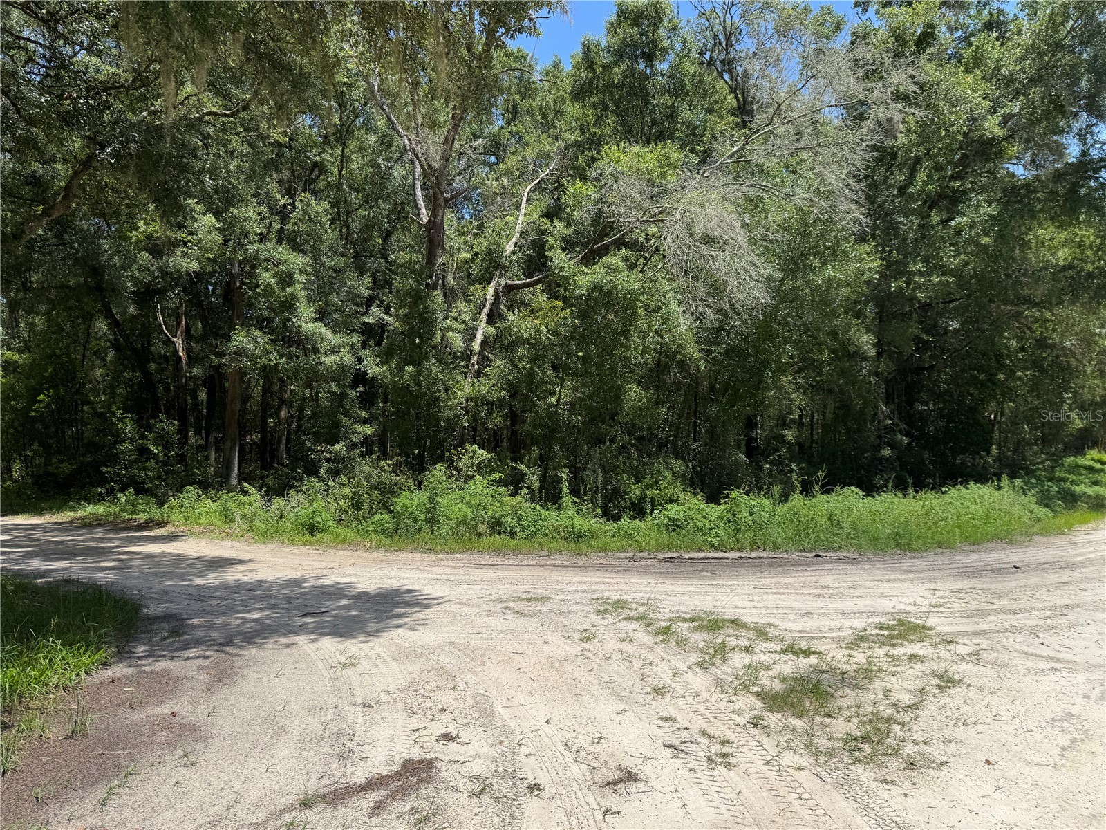 Sw 139th Ct Dunnellon FL 34432 OM728581 image3