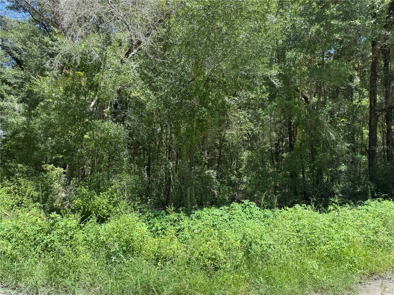 Sw 139th Ct Dunnellon FL 34432 OM728581 image4