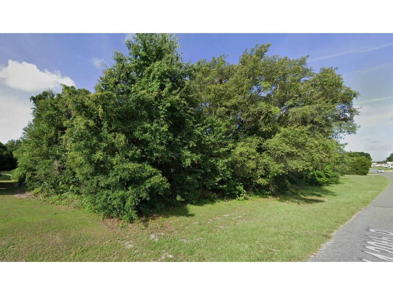 SW 139th Place Ocala FL 34473 OM674176 image1