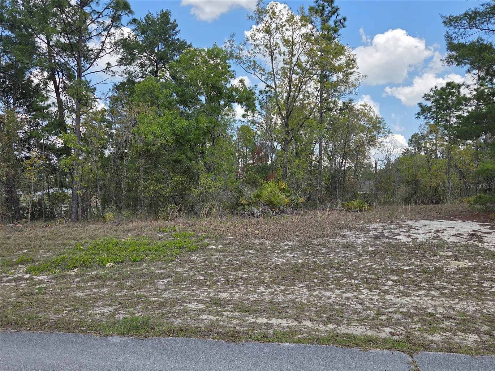SW 139th Place Road Ocala FL 34473 G5110217 image2