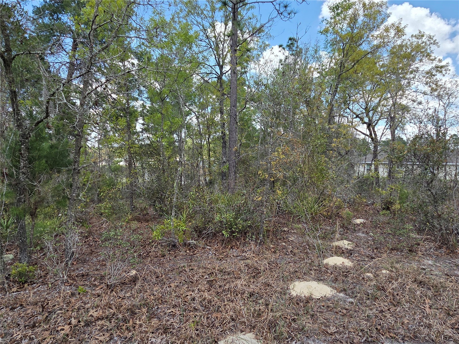 SW 139th Place Road Ocala FL 34473 G5110217 image3