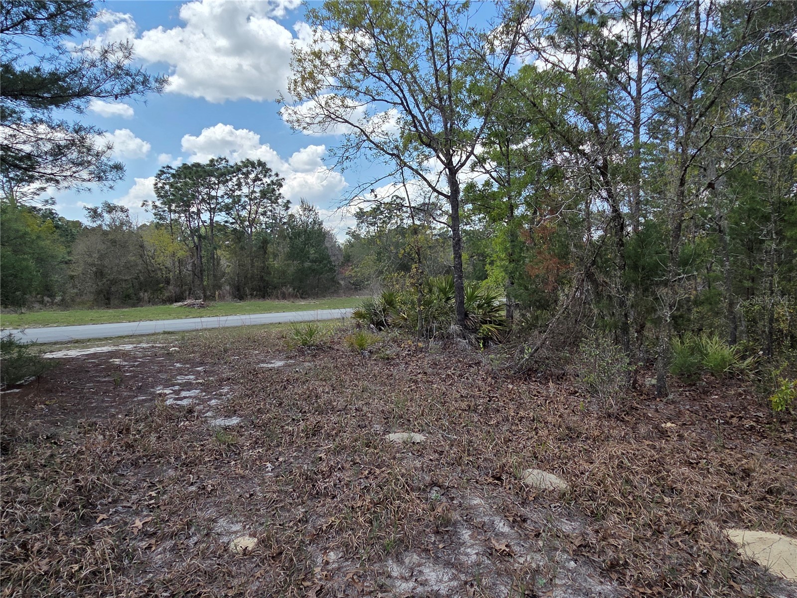 SW 139th Place Road Ocala FL 34473 G5110217 image4