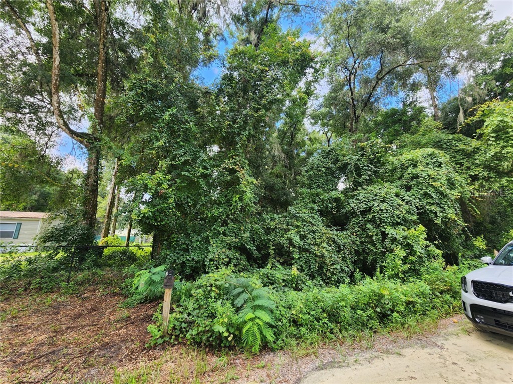 SW 13th Place Ocala FL 34481 OM683193 image1