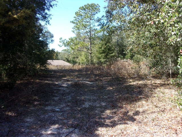 Sw 140th Avenue Ocala FL 34481 V4940877 image1