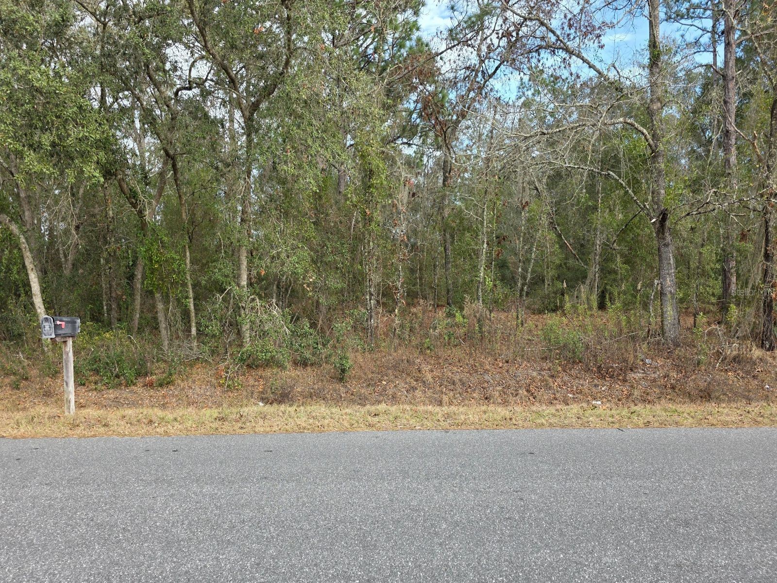 SW 140th Court Ocala FL 34481 O6375196 image1