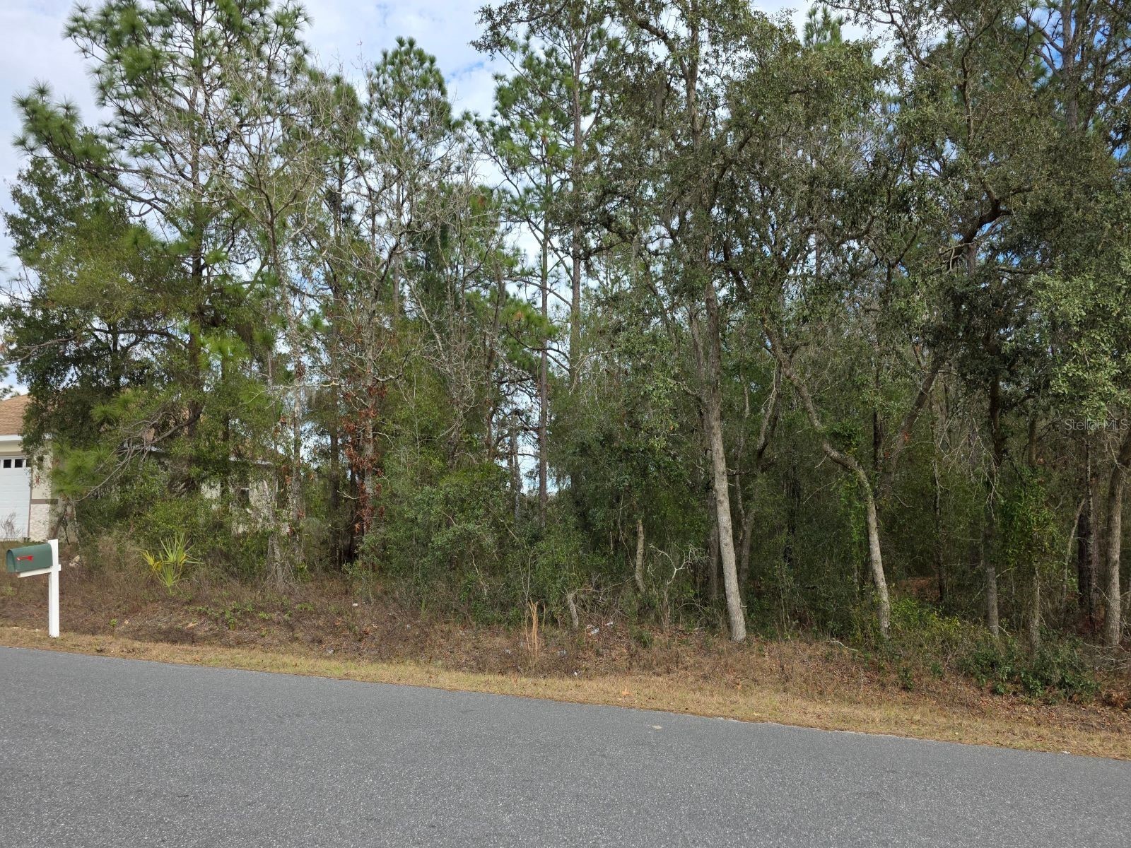SW 140th Court Ocala FL 34481 O6375196 image4