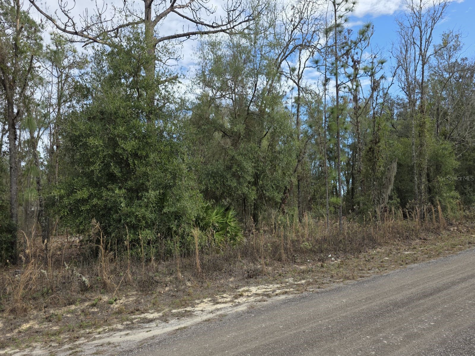 SW 141st Court Ocala FL 34481 O6375187 image1