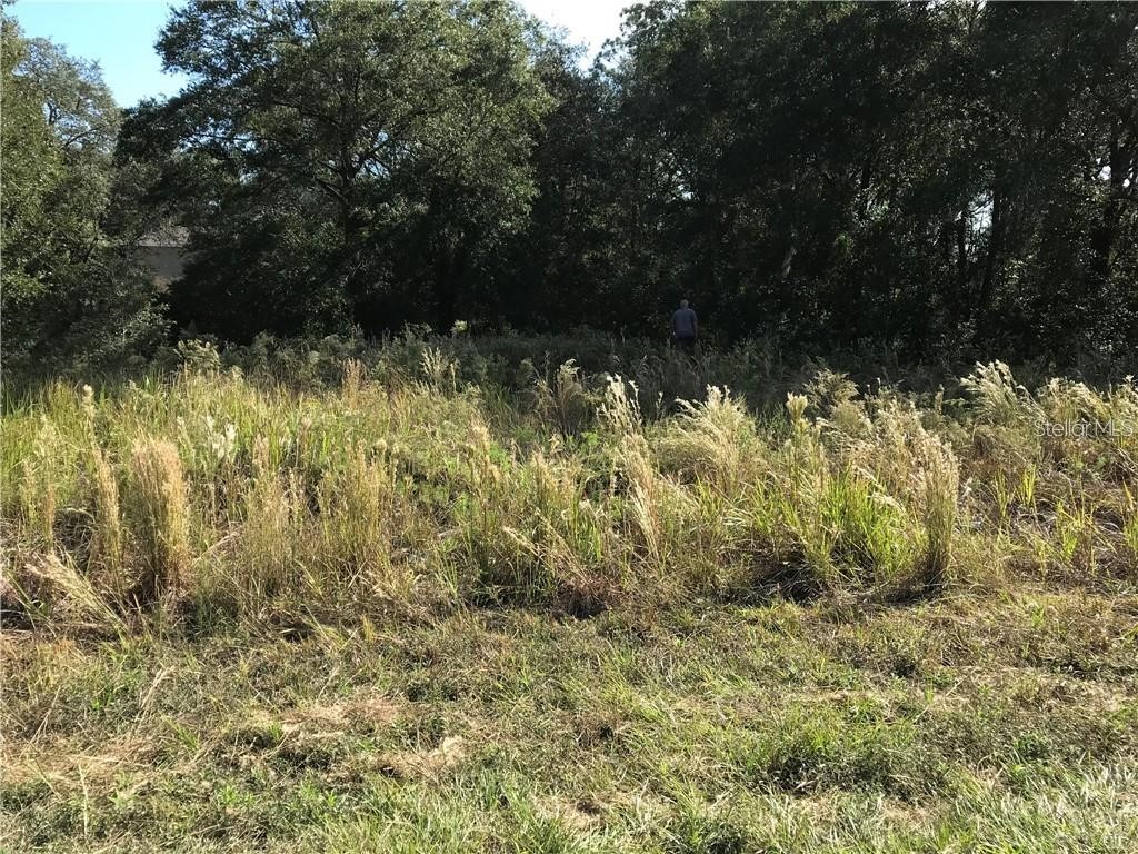 Sw 141st Ct Ocala FL 34481 L4959604 image1