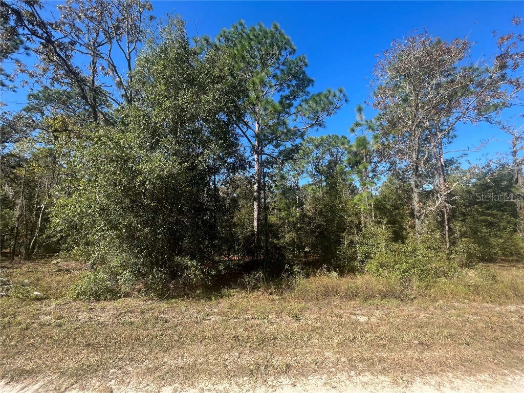 SW 141st Terrace Ocala FL 34481 OK223334 image1