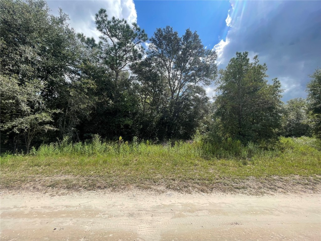 SW 144 Court Ocala FL 34481 OM686402 image1