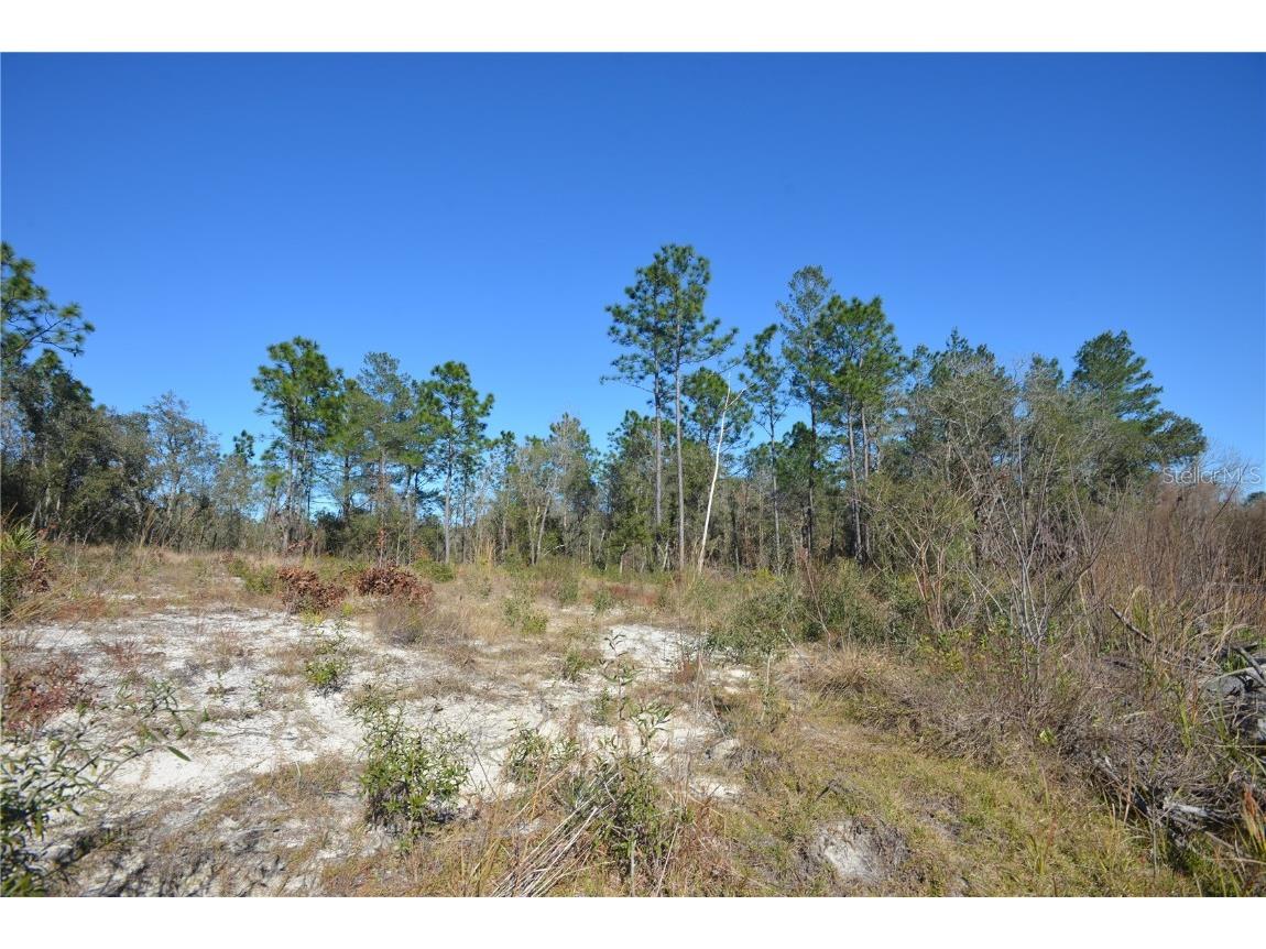 SW 144 Place Ocala FL 34473 OM689378 image4