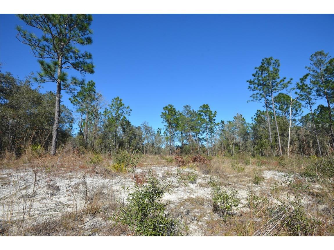 SW 144 Place Ocala FL 34473 OM689378 image5