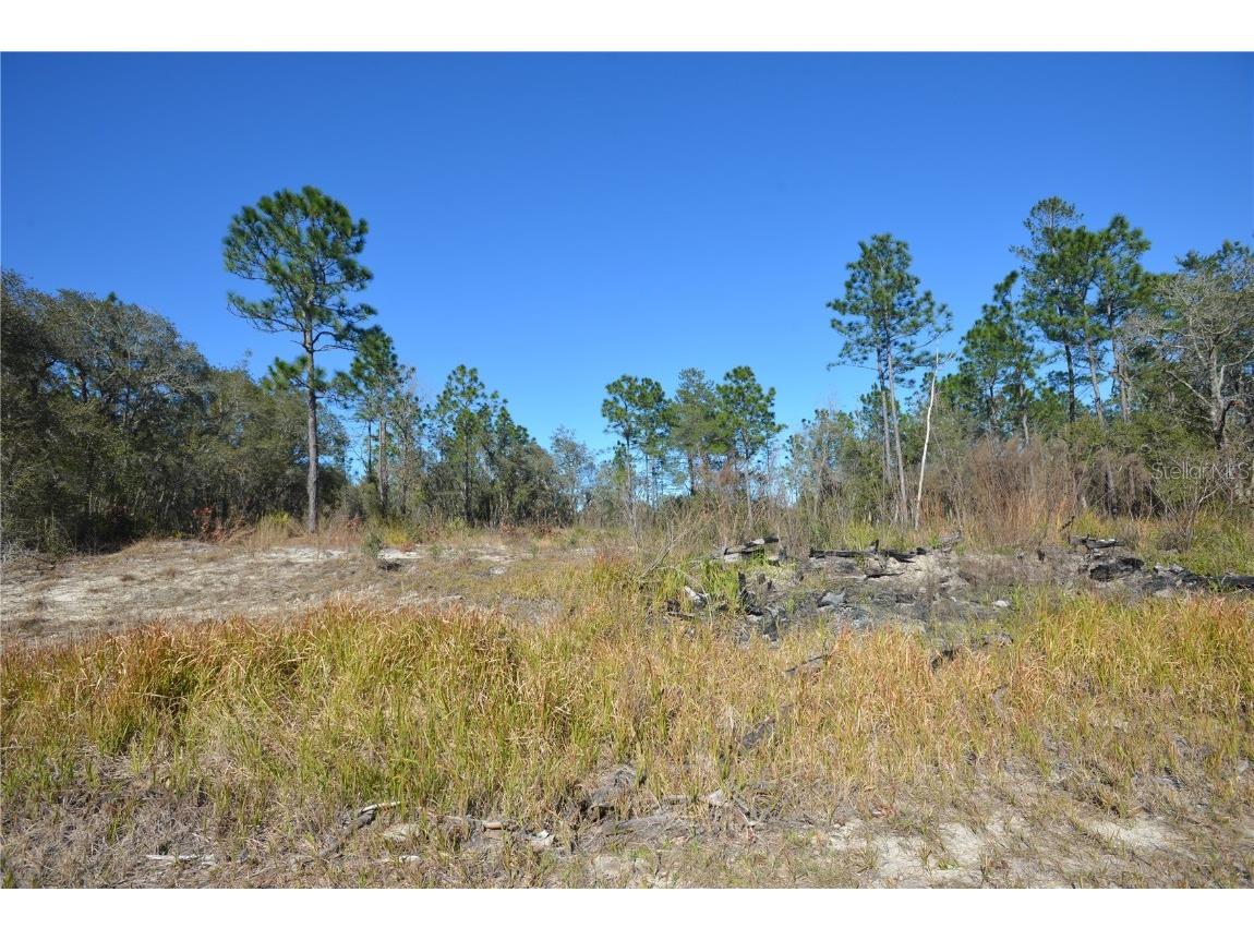 SW 144 Place Ocala FL 34473 OM689378 image6