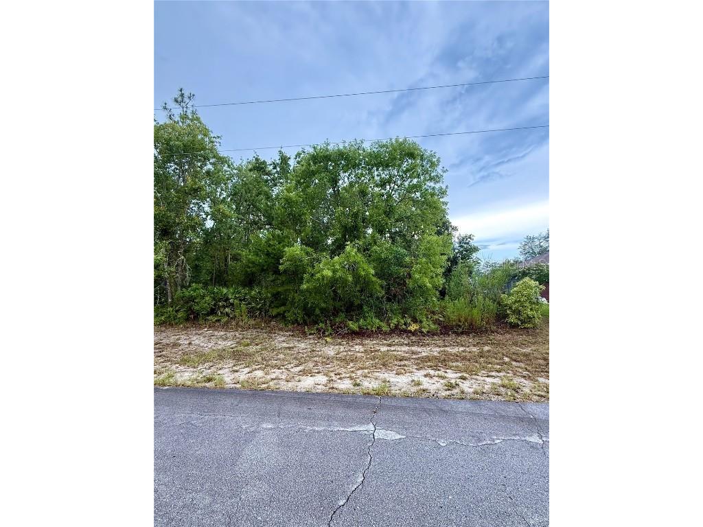 SW 144th Lane Ocala FL 34473 O6320406 image1