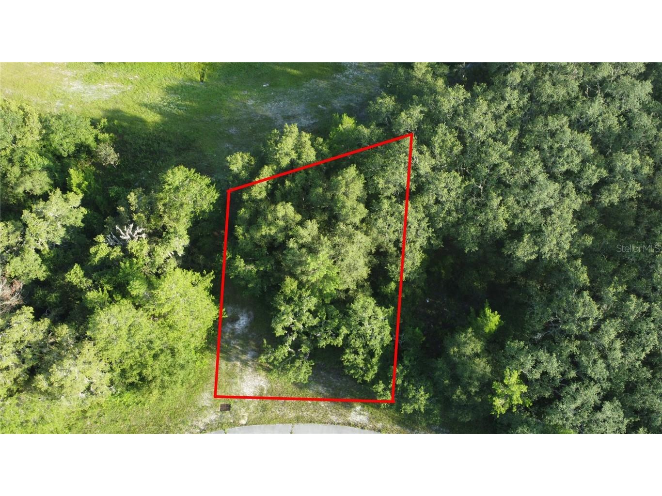 SW 145th Lane Ocala FL 34473 OM661152 image1