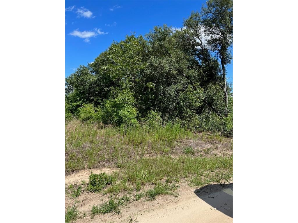 SW 146th Avenue Ocala FL 34481 U8205031 image1