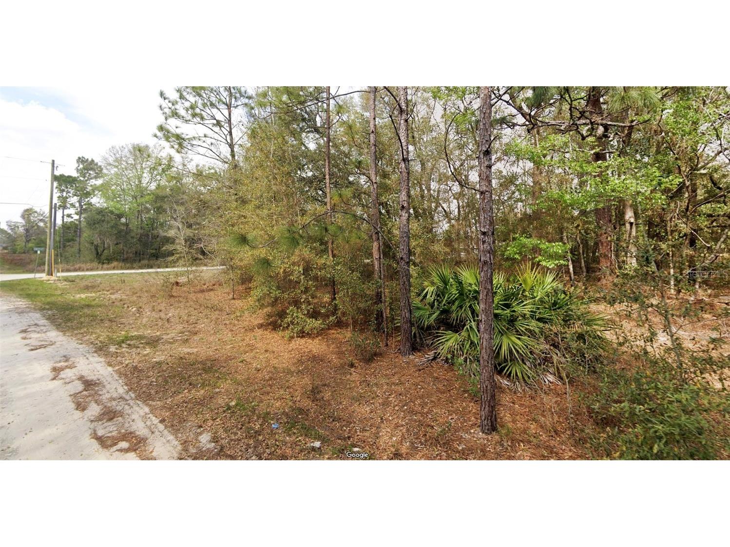 Sw 146th Ct Ocala FL 34481 S5126150 image2