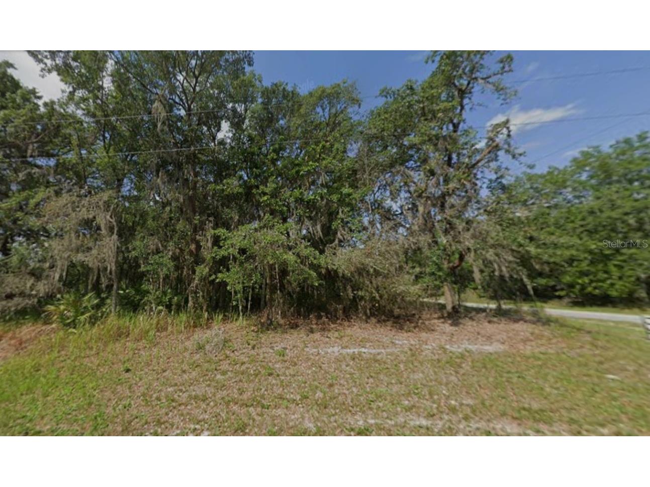 Sw 146th Lane Ocala FL 34481 S5138320 image1