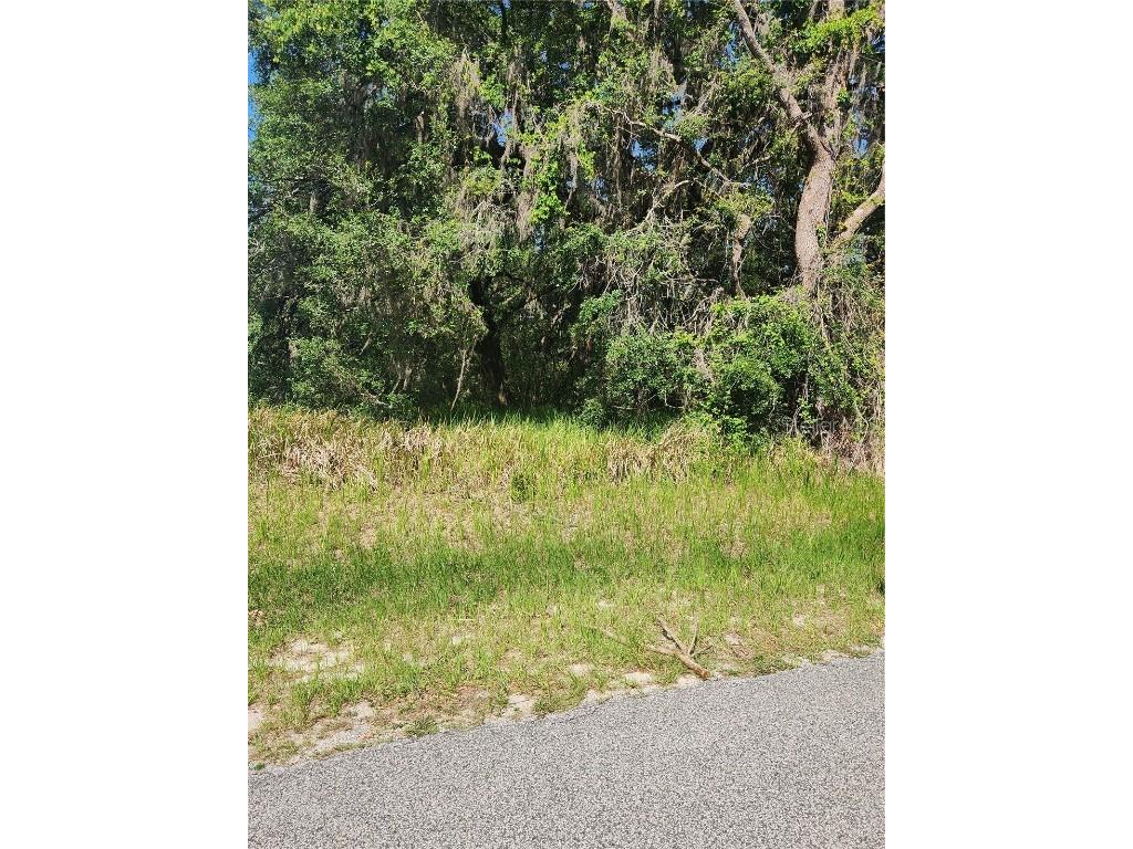 SW 146th Lane Road SW Ocala FL 34473 G5097831 image2