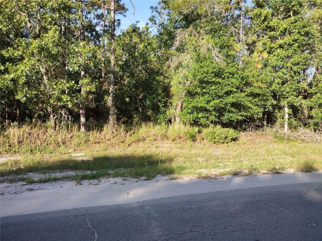 Sw 148th Pl Rd Ocala #10 Ocala FL 34473 S5065069 image1