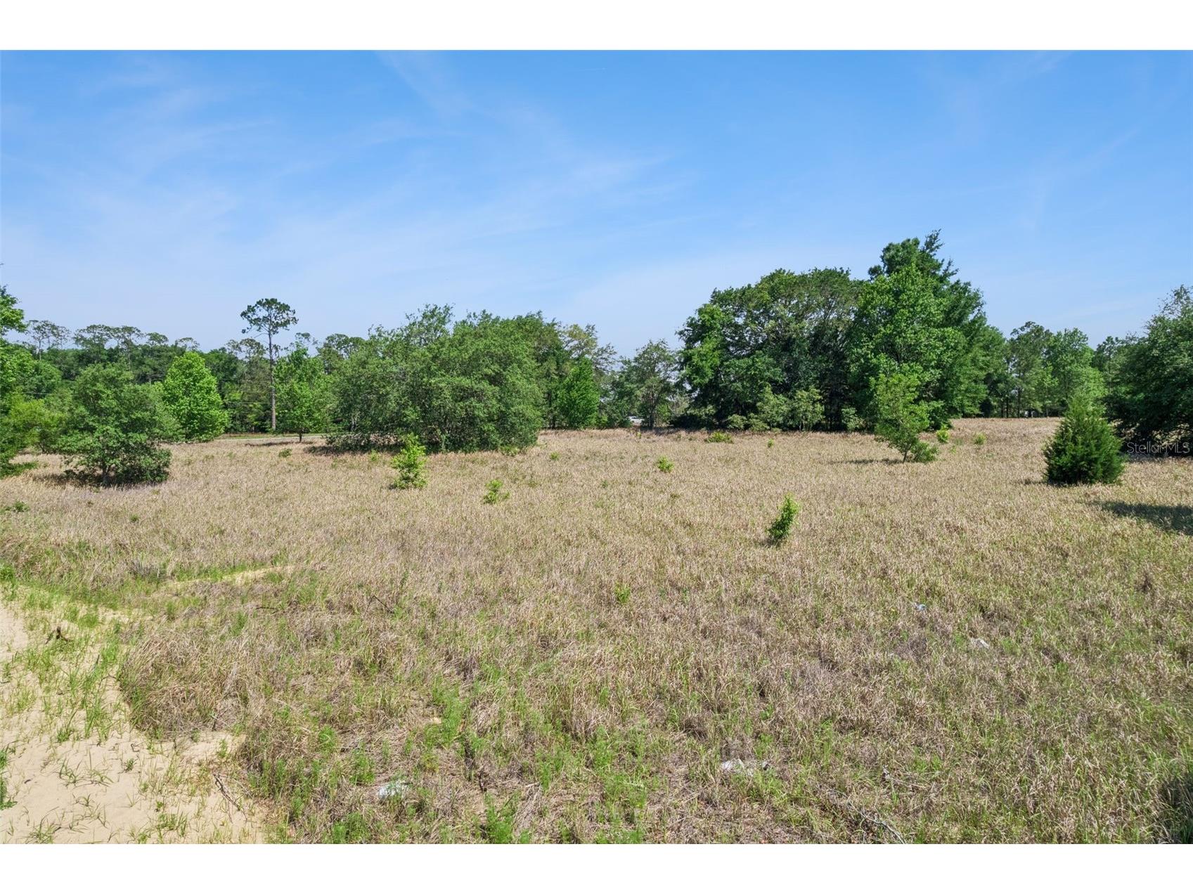 Sw 149th Ct Ocala FL 34481 O6404903 image4