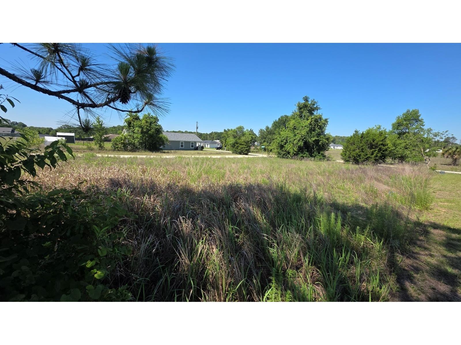 Sw 149th Terrace Ocala FL 34481 OM724511 image8